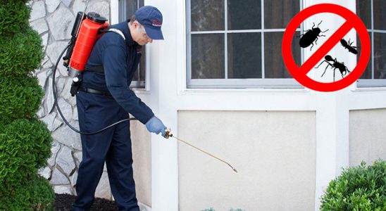 Mamak Kemirgen İlaçlama böcek ilaçlama ve haşere kontrolü — ilaclama-tr.com